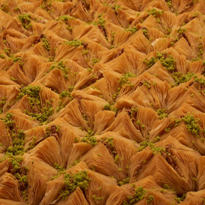 Birds-Nest