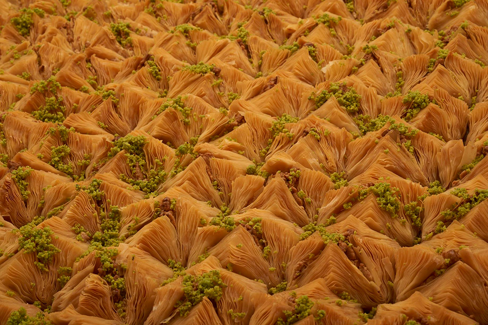 Birds-Nest
